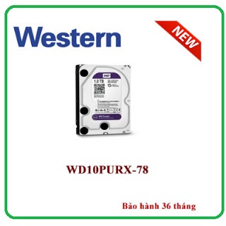 BNC.jpg WESTERN PURPLE 1TB DÒNG Ổ CỨNG CHUYÊN DỤNG CHO CAMERA, GHI HÌNH LIÊN TỤC 24/7 ( CHÍNH HÃNG)